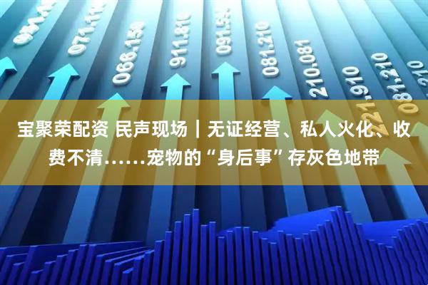 宝聚荣配资 民声现场｜无证经营、私人火化、收费不清……宠物的“身后事”存灰色地带
