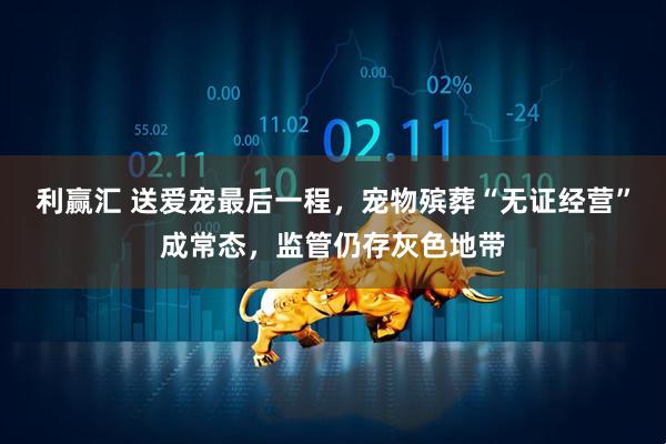 利赢汇 送爱宠最后一程，宠物殡葬“无证经营”成常态，监管仍存灰色地带