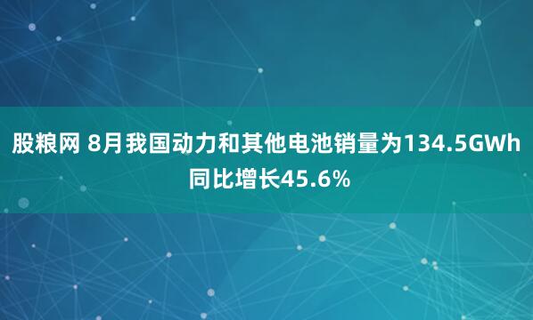 股粮网 8月我国动力和其他电池销量为134.5GWh 同比增长45.6%