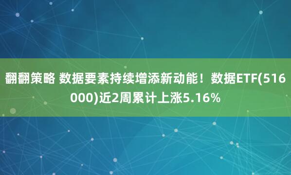 翻翻策略 数据要素持续增添新动能！数据ETF(516000)近2周累计上涨5.16%
