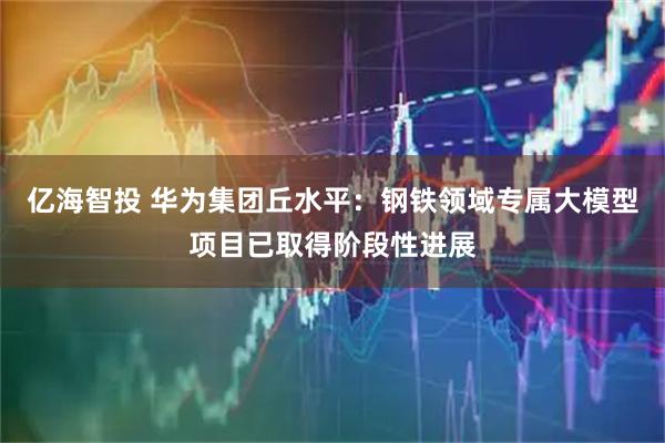 亿海智投 华为集团丘水平：钢铁领域专属大模型项目已取得阶段性进展