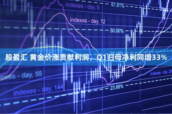 股盈汇 黄金价涨贡献利润，Q1归母净利同增33%